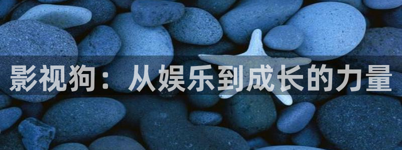 飞马影院app：影视狗：从娱乐到成长的力量