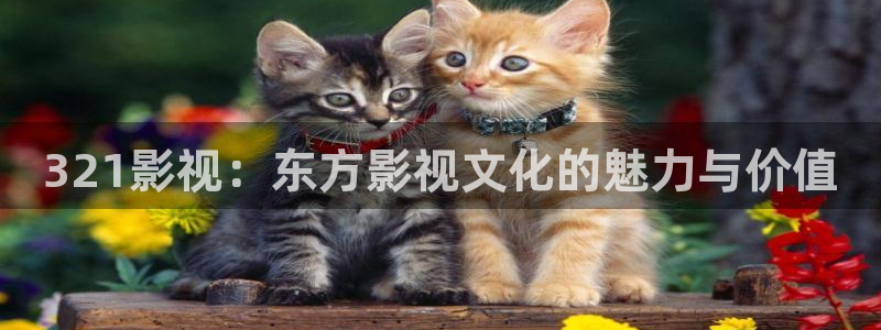 飞马影院免费下载：321影视：东方影视文化的魅力与价值