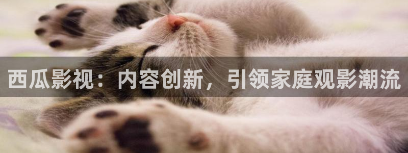 飞马影院app：西瓜影视：内容创新，引领家庭观影潮流