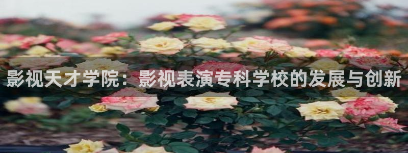 飞马影院在线观看：影视天才学院：影视表演专科学校的发展与创新