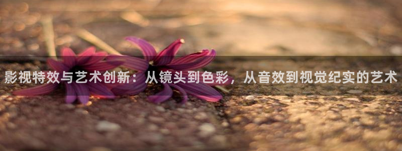 飞马影视电影：影视特效与艺术创新：从镜头到色彩，从音效到视觉纪实的艺术