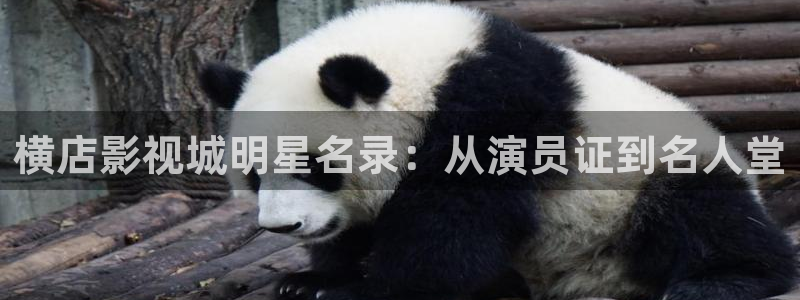 飞马影视：横店影视城明星名录：从演员证到名人堂