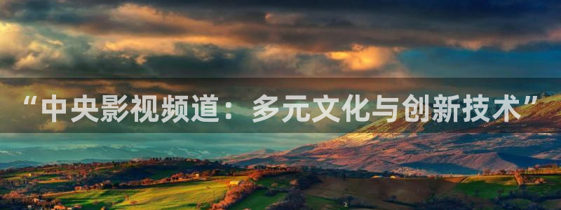 飞马影院：“中央影视频道：多元文化与创新技术”