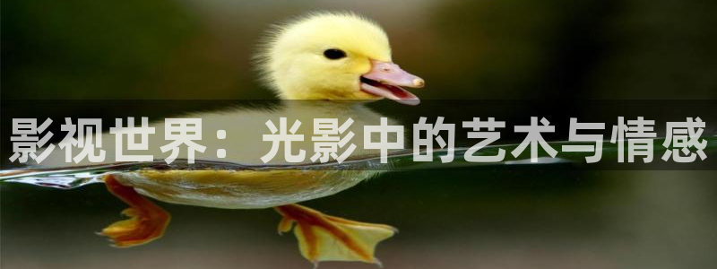 飞马影院app：影视世界：光影中的艺术与情感