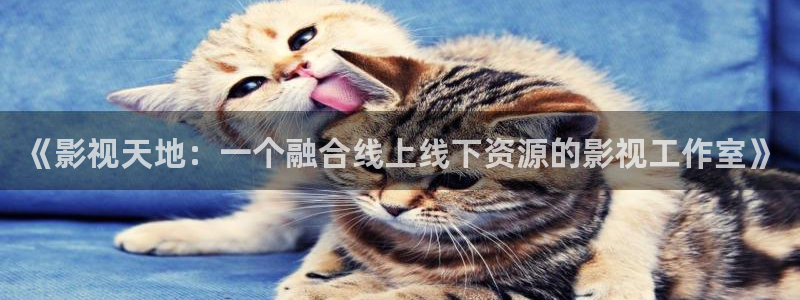 飞马影院：《影视天地：一个融合线上线下资源的影视工作室》