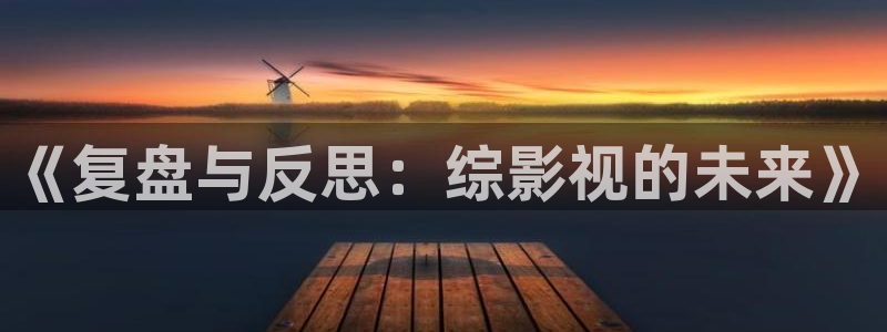 飞马影视：《复盘与反思：综影视的未来》